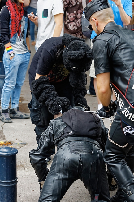 Gay Pride Bordeaux 2015-006